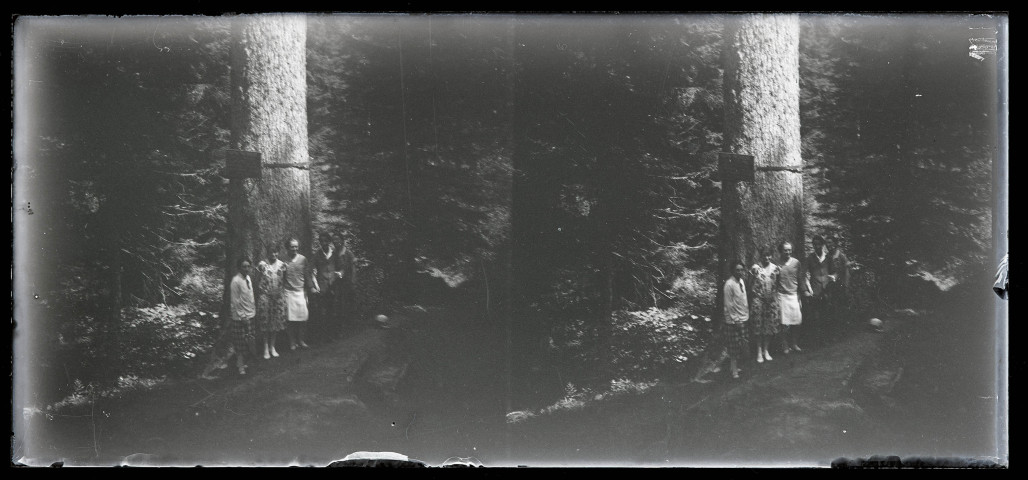 Cinq personnes posent alignées devant le Sapin Président de la forêt de la Joux.