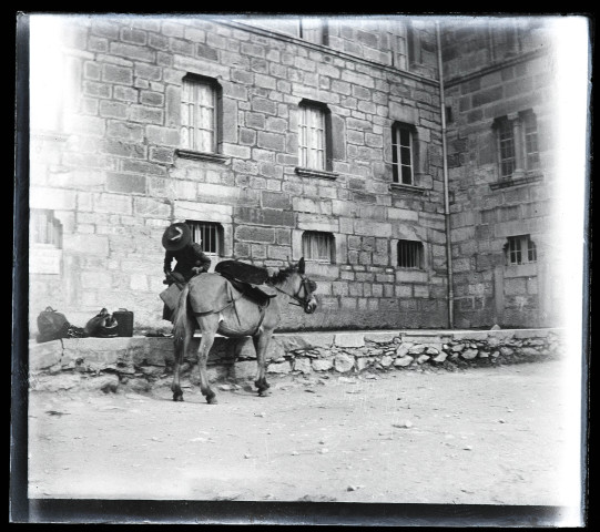 Pèlerinage à Notre-Dame de La Salette : la mule du photographe.