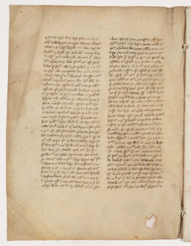 Pierre Plaoul, Commentarius in quattuor libros Sentenciarum Petri Lombardi [ Commentaire sur les quatre livres des Sentences de Pierre Lombard] (fragment).