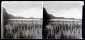 Lac du Grand Maclu et roseaux.