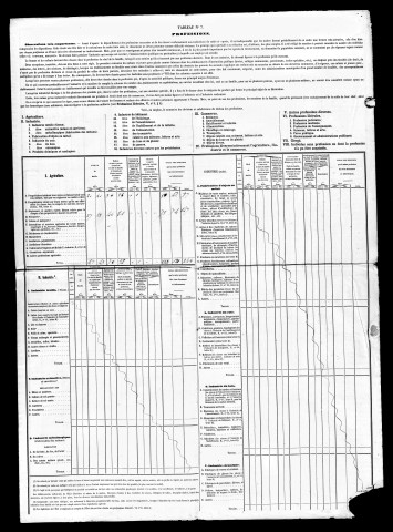 Résultats généraux, s.d. (1851 ?), 1861-1891. Listes nominatives, 1836, 1841, 1846, 1851, 1856, 1861, 1866, 1872, 1876, 1881 ,1886, 1891. Population classée par profession, 1891.