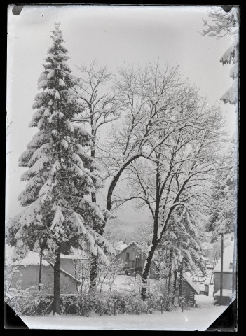 Arbres du Parc Nazareth de Vers-en-Montagne sous la neige.