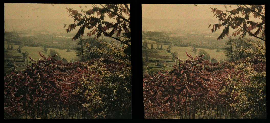 Montmorot, sumacs à contre-jour.