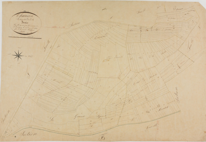 Chaussin, section A, la Raie, feuille 4.géomètre : Métadieu