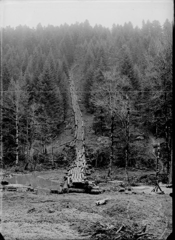 Exploitation de la forêt par les militaires canadiens. Rampe de bois