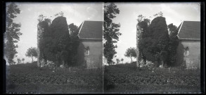 Ruines d'une tour du château masquée par la végétation, à coté de la ferme du Parc à Vers-en-Montagne.
