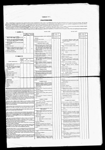 Résultats généraux, 1856-1891. Listes nominatives, 1836, 1841, 1846, 1856, 1861, 1866, 1872, 1876, 1881, 1886, 1891. Population classée par profession, 1891. Classement spécial des étrangers, 1891, 1896.