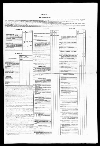 Résultats généraux, 1856-1891.. Listes nominatives, 1836, 1841, 1846, 1851, 1856, 1861, 1866, 1872, 1876, 1881, 1891. Population classée par profession, 1891.