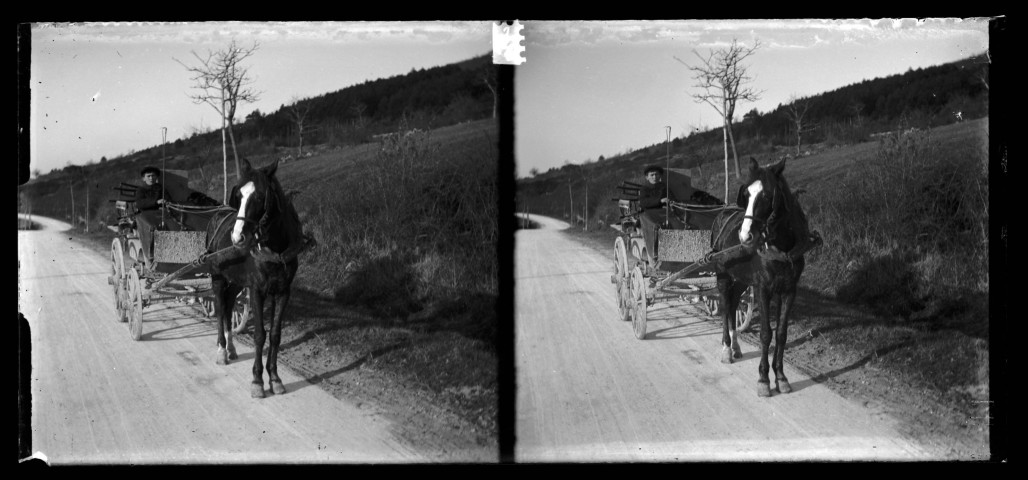 Attelage sur la route de Port-Lesney à Salins, le cheval tourne la tête.