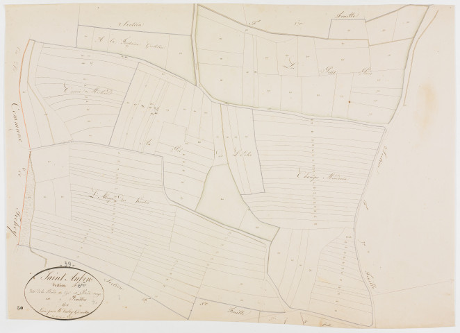 Saint-Aubin, section F, la Borde au Cyr et Borde Rouge, feuille 6. [1825] géomètre : Tabey