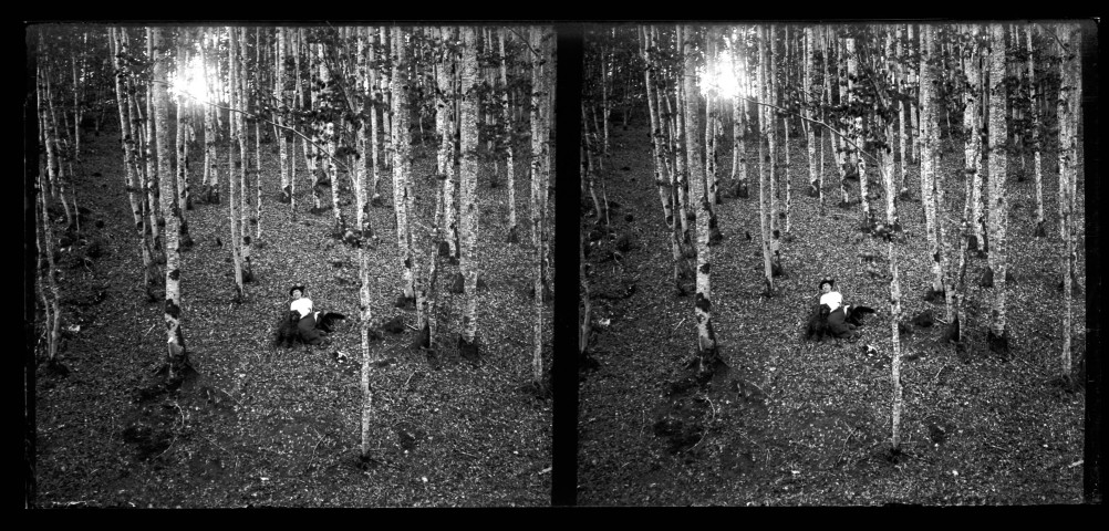 Sous-bois de bouleaux, Emilie Vuillaume et son caniche Coquette prennent la pose assis au milieu des arbres.