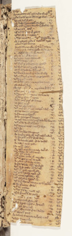 Recueil de traités de droit canon.- Giovanni d'Andrea, Gloses sur les Constitutions de Clément V et De regulis juris ( Appendice au Sexte de Boniface VIII ). Benoît XII, Constitutiones seu ordinationes super reformatione ordinis monachorum nigrorum ( Constitutions pour la réforme de l'ordre bénédictin ).