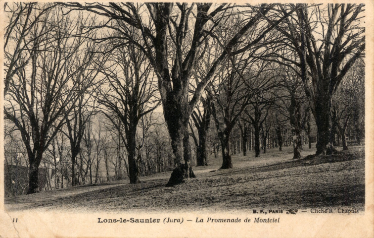 Lons-le-Saunier (Jura). 11. La promenade de Montciel. Paris, B. F.