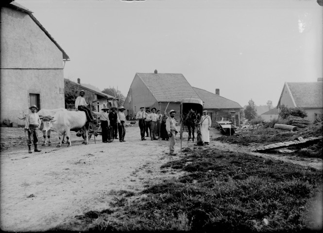 Paysans avec cheval et boeufs dans un village