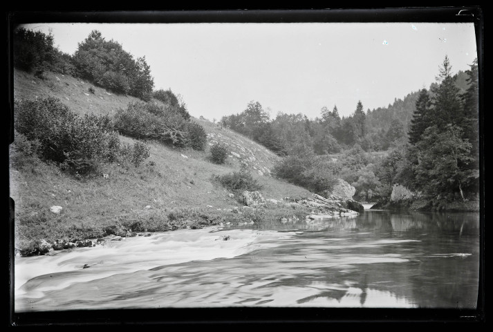 Rivière longeant une forêt.