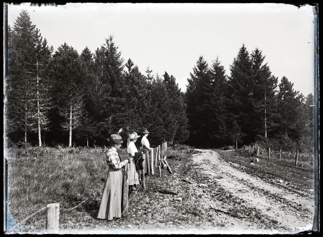 Trois femmes alignées le long d'une clôture à la lisière d'une forêt.