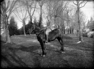 Un homme Marius Dussoullier sur un cheval. Mignovillard