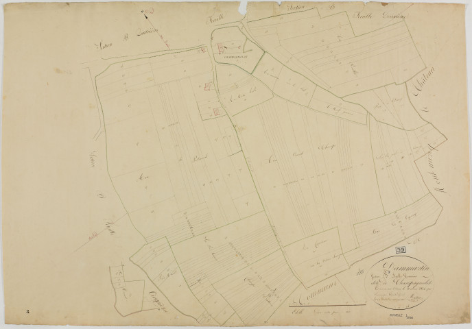 Dammartin, section B, Champagnolot, feuille 3.géomètre : Mathieu