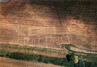 Molay (Jura). Villa romaine caractéristique, révélée par le murissement différent des céréales en 1978. 57206 Sarreguemines, Pierron.