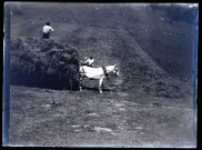 Deux hommes faisant les foins, la charrette attelée à un cheval.
