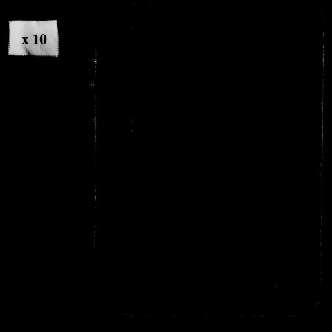 Naissances, mariages, décès, publications de mariage.