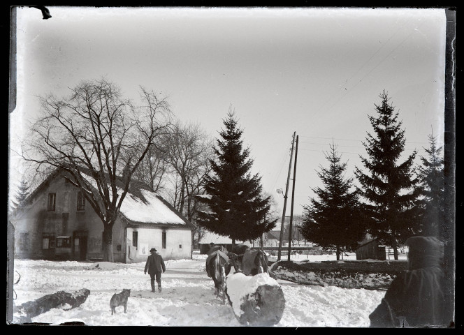 Débardage en hiver à Vers-en-Montagne, un chien accompagne les bœufs dans la neige.