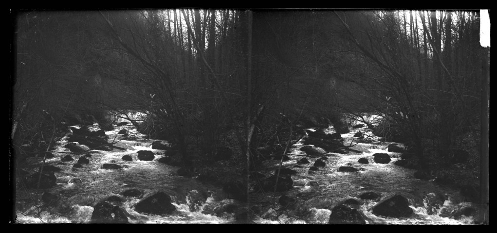 Rivière Le Hérisson en sous-bois.