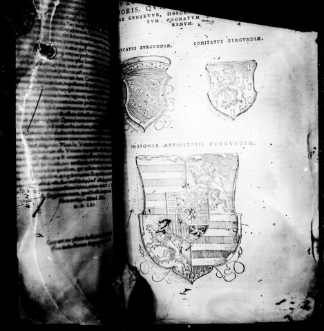 Blason dans un livre