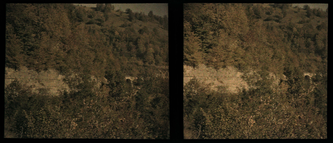 Vallée de la Bienne.