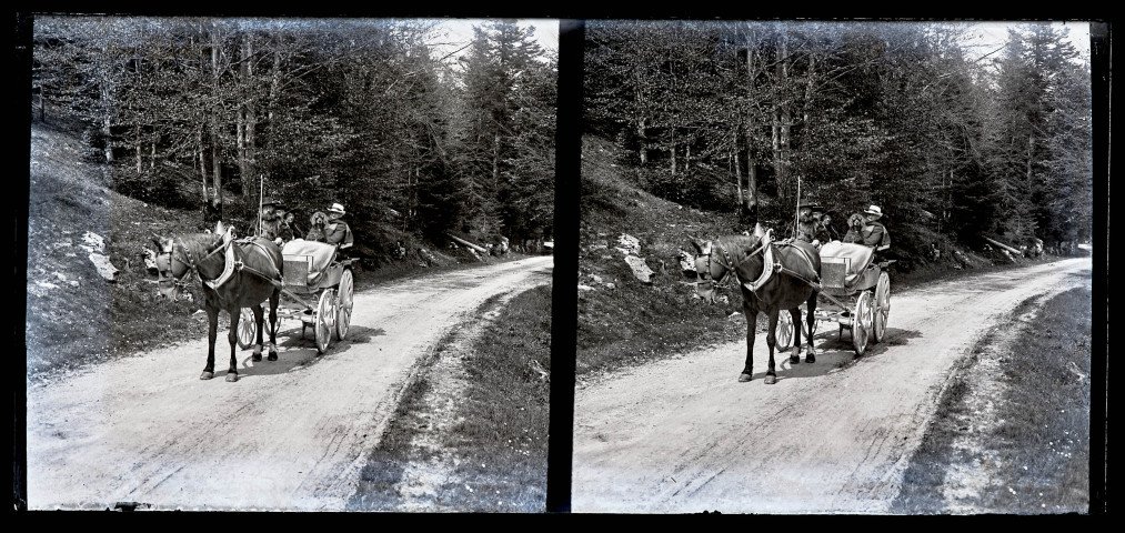 Quatre personnes et un chien dans un attelage tiré par un cheval.