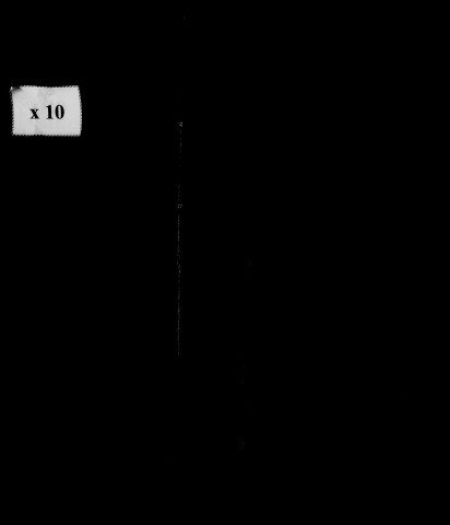 Naissances, mariages, décès, publications de mariage.