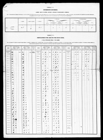 Résultats généraux, 1861-1891. Population classée par profession, 1891. Classement spécial des étrangers, 1891, 1896.