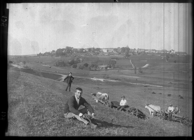 Les alentours de Nozeroy. Des boeufs avec des charrues au pied du village de Nozeroy