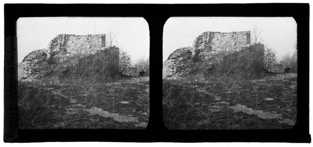 Ruines du chäteau de Vaulgrenant.