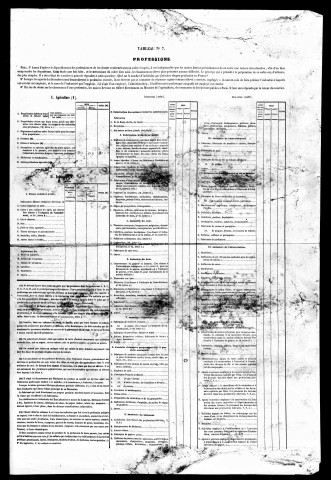 Résultats généraux, 1856-1876, 1891. Listes nominatives, 1851, 1856, 1861, 1866, 1872, 1876. Population classée par profession, 1891.