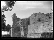 Ruines du château de Nozeroy.