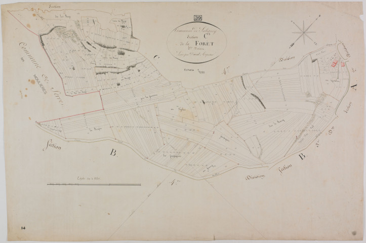 Saligney, section C, la Forêt, feuille 5.