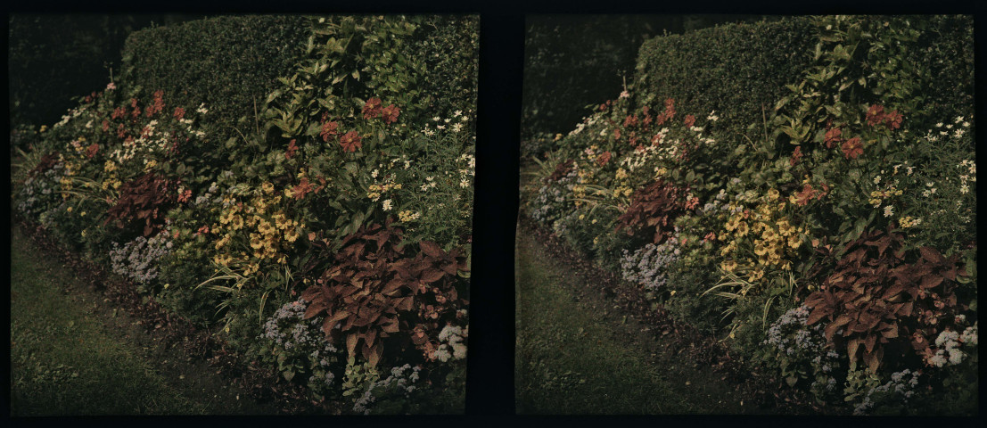 Château de Versailles, bordure de fleurs au jardin du Roi.