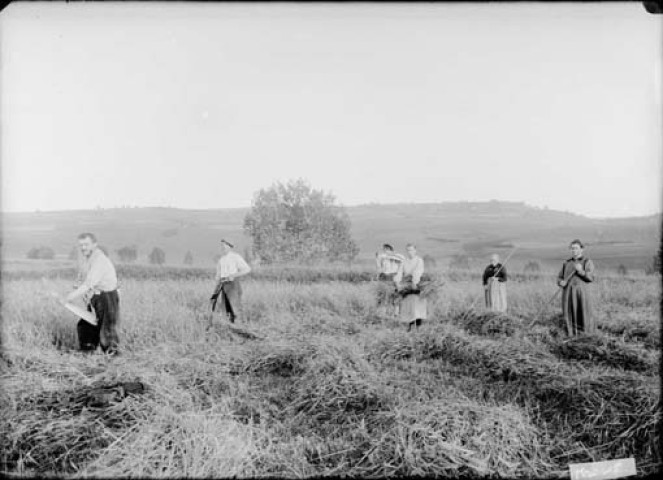 Scène de la vie aux champs. Henri Brocard. Mai 1918