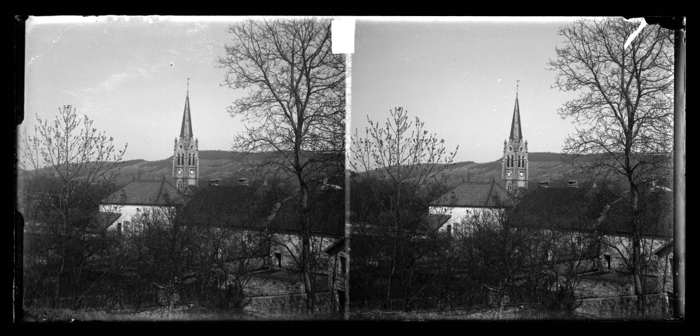 Quartier de l'église de Port-Lesney vu derrière la végétation.