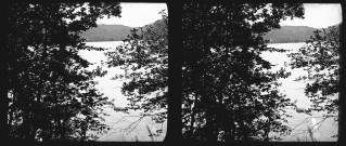 Lac de Chalain derrière un rideau d'arbres.