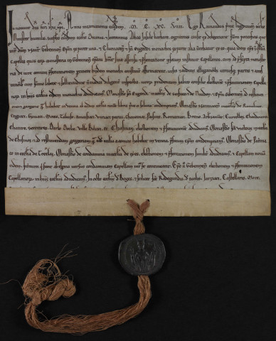Sentence dans un conflit entre l'abbé de Saint-Oyend, le prieuré de Nantua et l'évêque de Genève pour le patronage de plusieurs églises et chapelles.