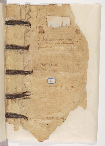 Recueil de textes et commentaires de droit canon.- Guillaume de Mandagout, De electionibus ; Tancrède de Bologne, Ordo judiciarius ; Barthélemy de Brescia, Quaestiones dominicales et veneriales; Rolandino Passaggieri, Summa rolandica (?) suivie de sa glose ; Pietro di Giovanni da Unzola, De arte notaria et De alimentis.