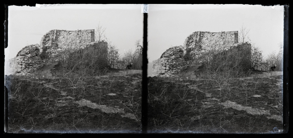 Ruines du château de Vaulgrenant à Pagnoz.