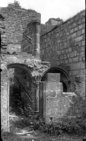 Le château de Nozeroy