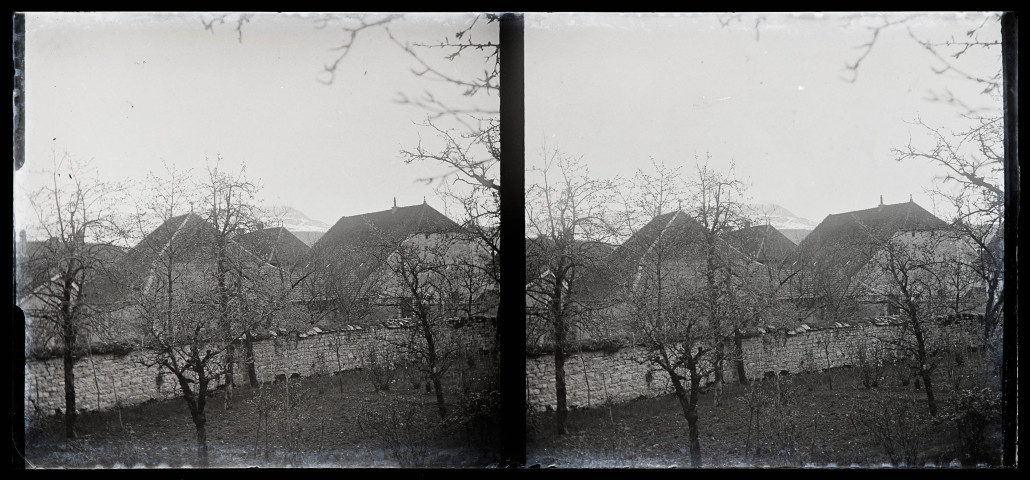 Ensemble de maisons derrière un mur et un rideau d'arbres.