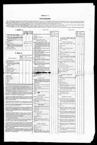 Résultats généraux, 1856-1891. Listes nominatives, 1836, 1841, 1846, 1851, 1856, 1861, 1866, 1872 ,1876, 1881 ,1886, 1891. Population classée par profession, 1891.