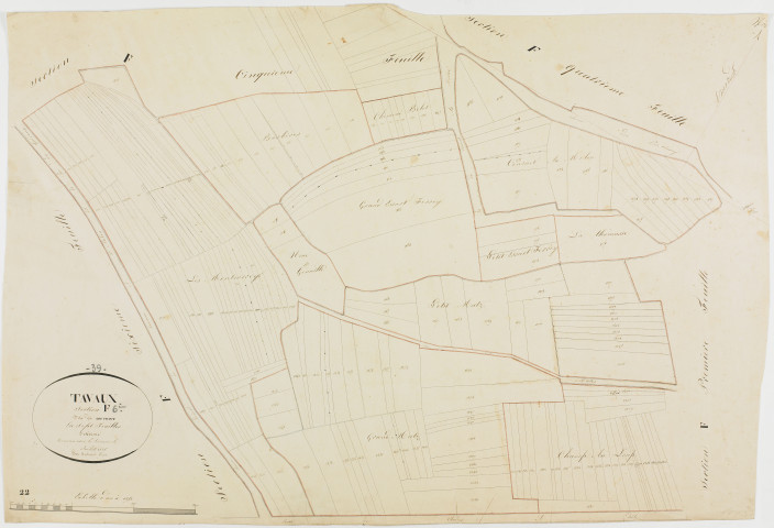 Tavaux, section F, le Couchant, feuille 6.géomètre : Duchesne aîné