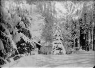 Forêt et maisons sous la neige