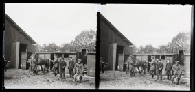 Soldats canadiens à Vers-en-Montagne pour l'exploitation des bois de la Fresse : cheval et soldats en gare.